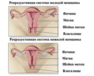 Изменения при менопаузе Изменения при менопаузе