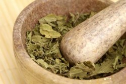 Заготовка боровой матки 