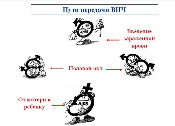 График базальной температуры График базальной температуры
