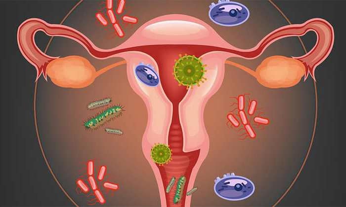 Уреаплазма - возбудитель уреаплазмоза