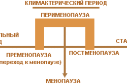 Климактерический период Климактерический период