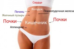 Почему болит низ живота с левой стороны?