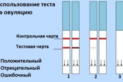 Оценка теста на овуляцию