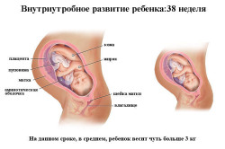 Подготовка матки к родам - причина тянущей боли
