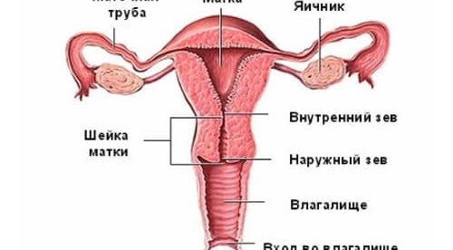 Если эндометрий неоднородный, что это может значить?
