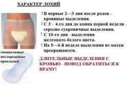 Характер лохий
