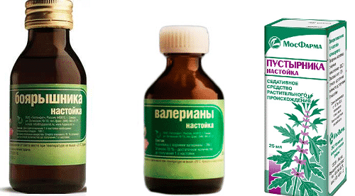 Засушивание боровой матки для отваров и настоев