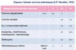Оценка чистоты влагалища