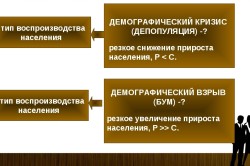 Демографические процессы