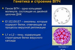 Симптомы и лечение ВПЧ у женщин
