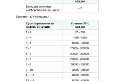 Нормы ХГЧ в сыворотке крови